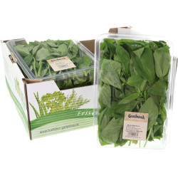 BASILIC GROSBUSCH 4X200G